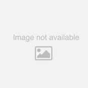 Bennett ATPSENSTD Tab Position Kit for Classic Tabs